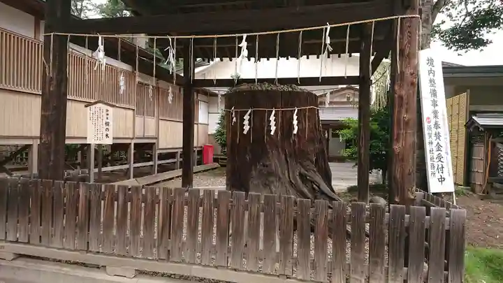 須賀神社の自然
