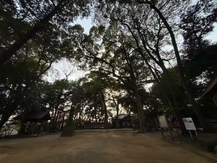 氷川女體神社の{uncategorized: "未分類", other: "その他", undefined: "問題あり", building: "その他建物", grave: "お墓", sacred_gate: "鳥居", guardian: "狛犬", statue: "像", buddha: "仏像", history: "歴史", nature: "自然", garden: "庭園", animal: "動物", pagoda: "塔", temizu: "手水舎", mountain_gate: "山門・神門", sanctuary: "本殿・本堂", subordinate: "末社・摂社", art: "芸術", scenery: "景色", jizo: "地蔵", ema: "絵馬", goshuin: "御朱印", omikuji: "おみくじ", items: "授与品その他", amulet: "お守り", goshuincho: "御朱印帳", eats: "食事", festival: "お祭り", votive_dance: "神楽", shichigosan: "七五三参", wedding: "結婚式", experience: "体験その他", initially: "初詣", around: "周辺", anti_infection: "感染症対策"}