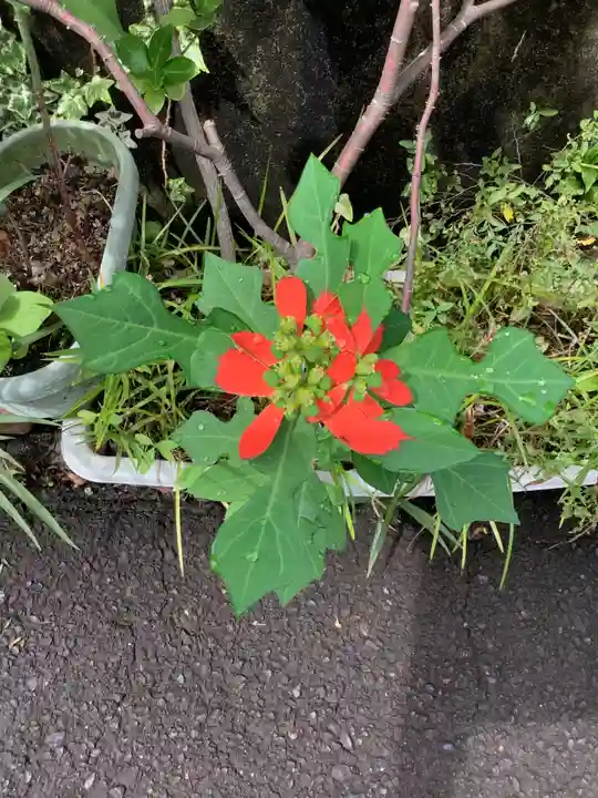 供養堂祠(愛知県)