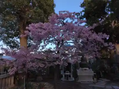 龍華寺(神奈川県)