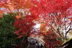 鞍馬寺(京都府)