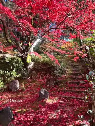 榮攝院（栄摂院）の自然