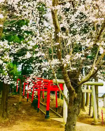 神谷稲荷神社の鳥居