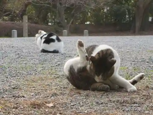 護王神社の動物