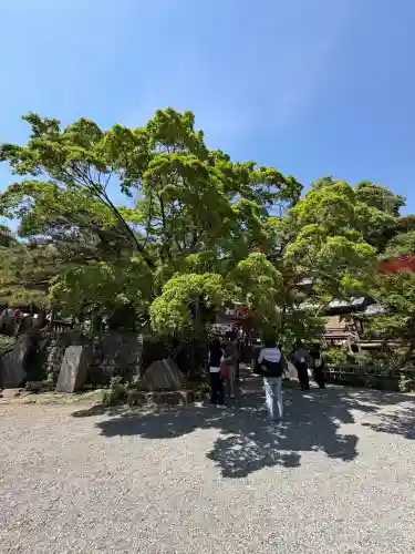 深大寺(東京都)