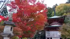 法輪寺の建物その他