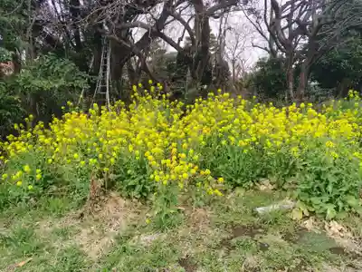 寶珠院(神奈川県)