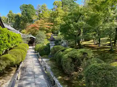 榮攝院（栄摂院）(京都府)