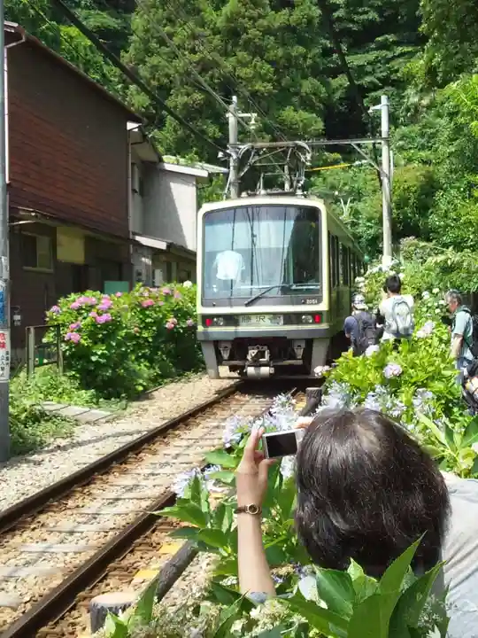 御霊神社の周辺