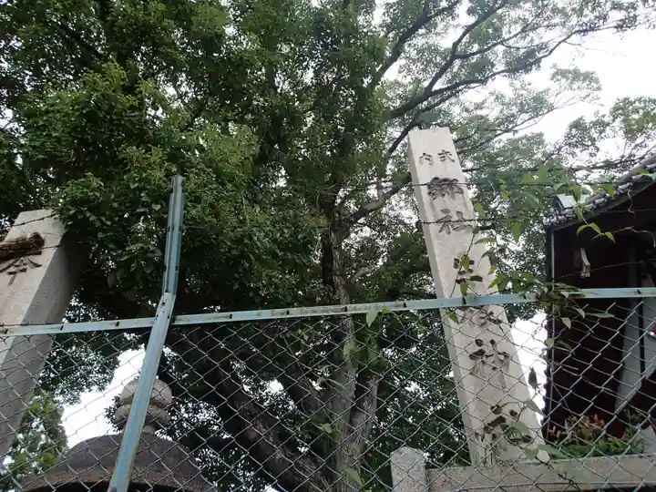 生根神社の周辺