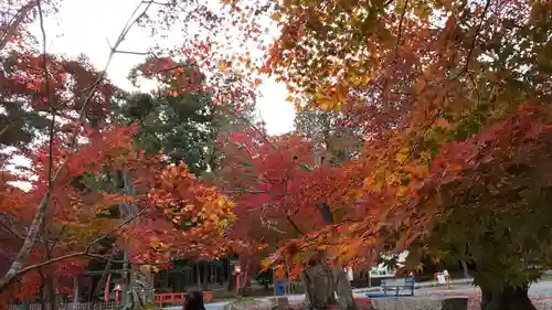 大原野神社の自然