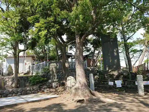 賀来神社の自然