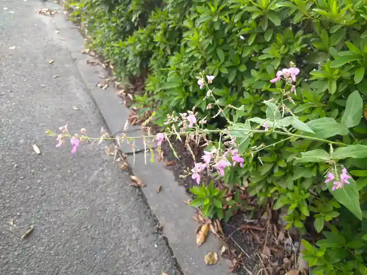 木華佐久耶比咩神社の自然