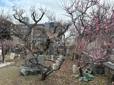 難波熊野神社(兵庫県)