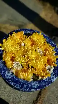 埼玉厄除け開運大師・龍泉寺（切り絵御朱印発祥の寺）(埼玉県)