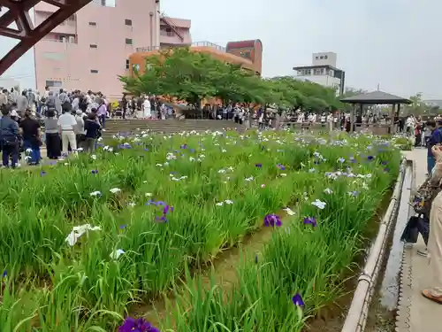 二本松寺の結婚式