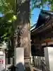 田無神社の庭園