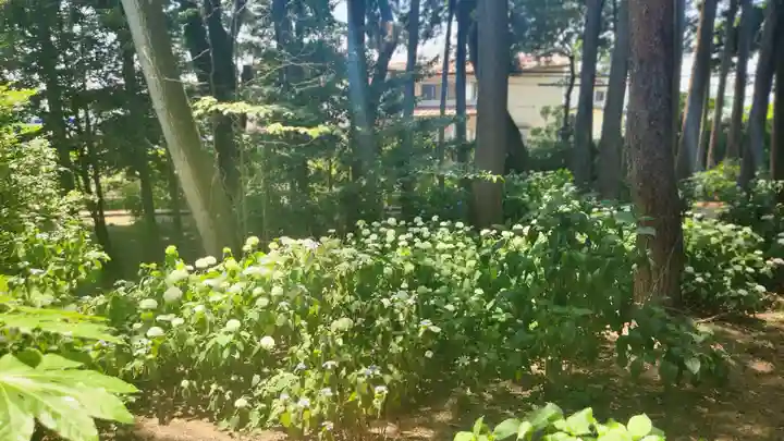 山神社(宮城県)
