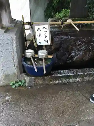 武蔵御嶽神社の手水舎