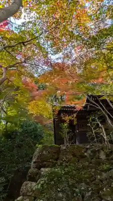 勝持寺（花の寺）(京都府)