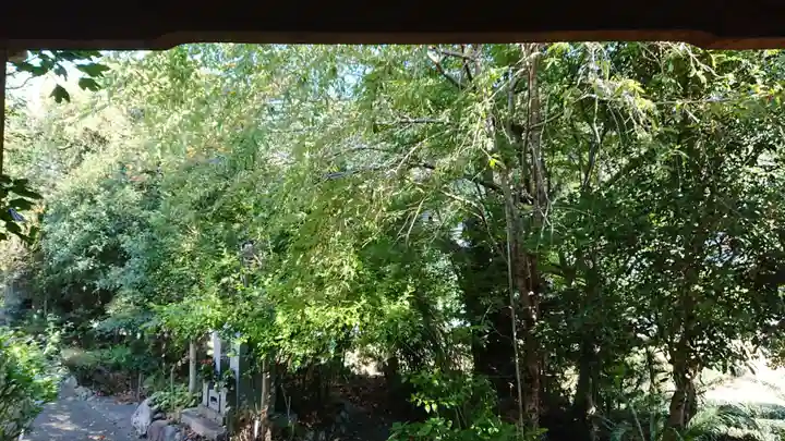 長谷寺(静岡県)