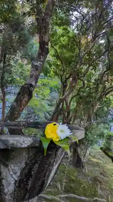 法然院(京都府)