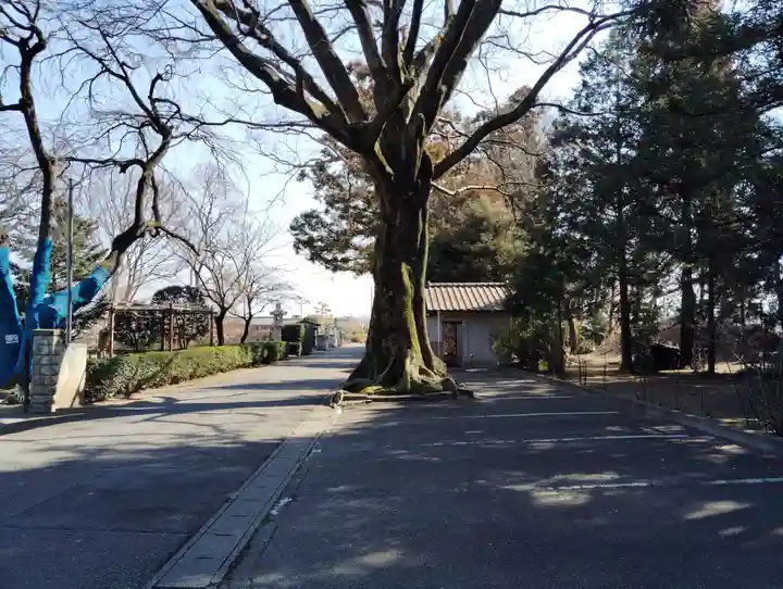 普済寺(群馬県)