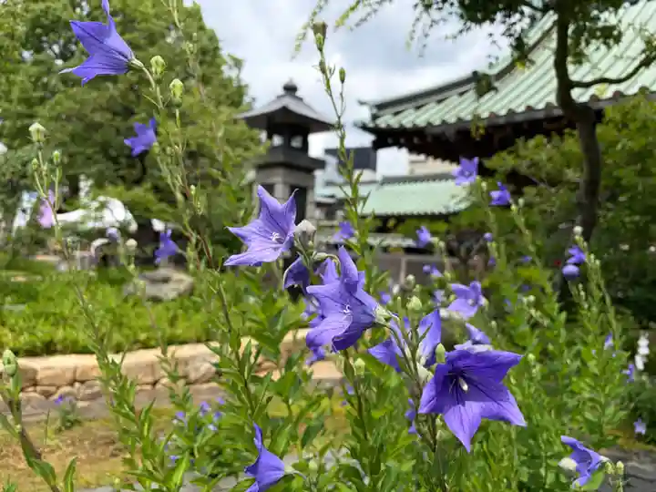 湯島天満宮(東京都)