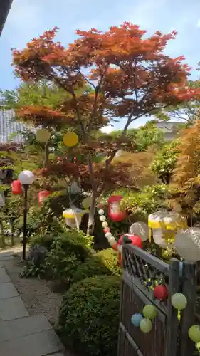 おふさ観音（観音寺）(奈良県)