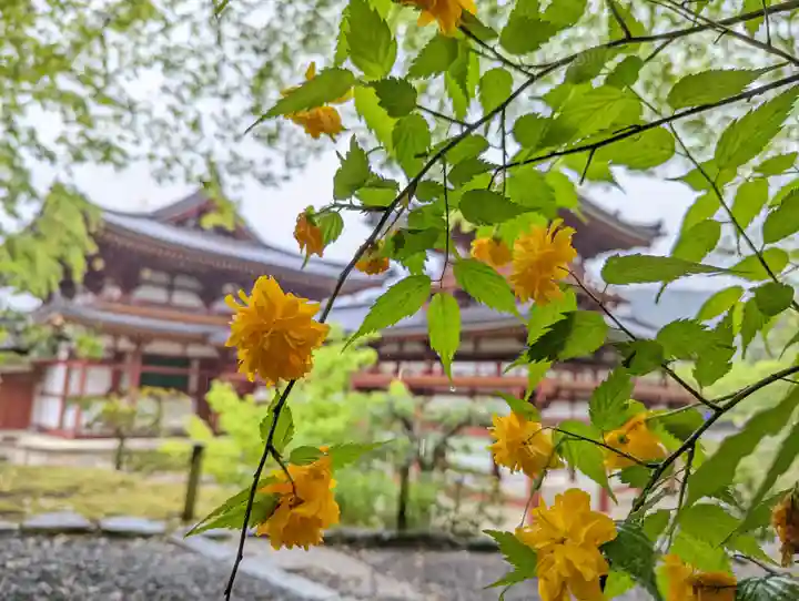 平等院(京都府)