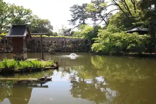 越ヶ谷久伊豆神社(埼玉県)