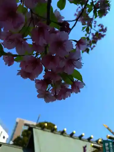 東京大神宮(東京都)