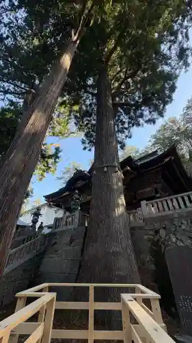 三峯神社の{uncategorized: "未分類", other: "その他", undefined: "問題あり", building: "その他建物", grave: "お墓", sacred_gate: "鳥居", guardian: "狛犬", statue: "像", buddha: "仏像", history: "歴史", nature: "自然", garden: "庭園", animal: "動物", pagoda: "塔", temizu: "手水舎", mountain_gate: "山門・神門", sanctuary: "本殿・本堂", subordinate: "末社・摂社", art: "芸術", scenery: "景色", jizo: "地蔵", ema: "絵馬", goshuin: "御朱印", omikuji: "おみくじ", items: "授与品その他", amulet: "お守り", goshuincho: "御朱印帳", eats: "食事", festival: "お祭り", votive_dance: "神楽", shichigosan: "七五三参", wedding: "結婚式", experience: "体験その他", initially: "初詣", around: "周辺", anti_infection: "感染症対策"}