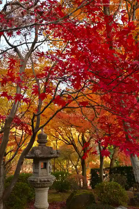 宝徳寺(群馬県)