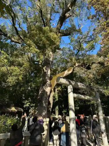 伊弉諾神宮(兵庫県)