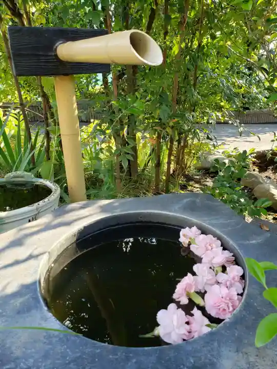 真明寺(東京都)