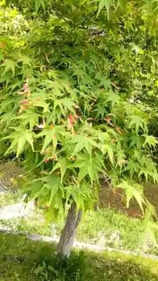 和氣神社（和気神社）(岡山県)