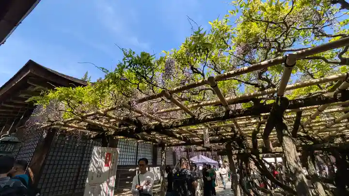 春日大社(奈良県)