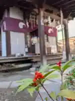 四谷於岩稲荷田宮神社(東京都)