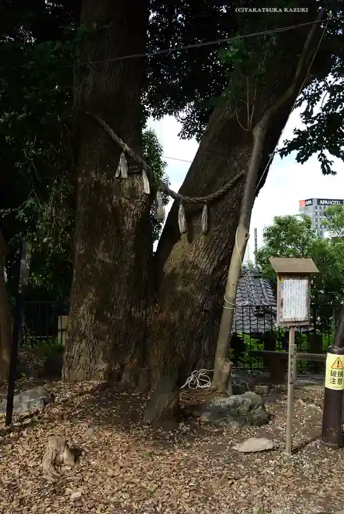 八景天祖神社(東京都)