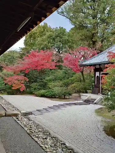 建仁寺（建仁禅寺）(京都府)