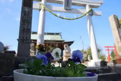熊野福藏神社の鳥居