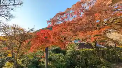 善峯寺(京都府)