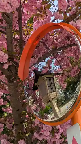 新琴似神社(北海道)