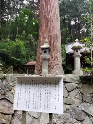 松田神社の自然
