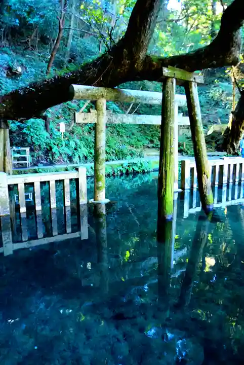 鹿島神宮(茨城県)