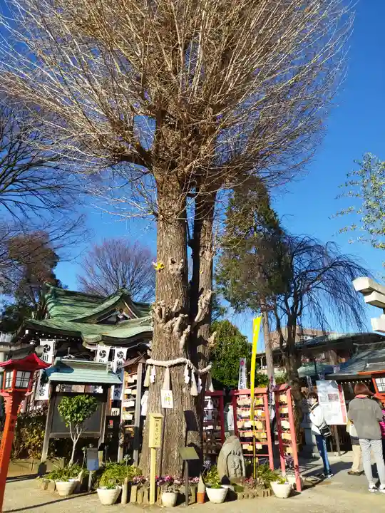 川越八幡宮(埼玉県)