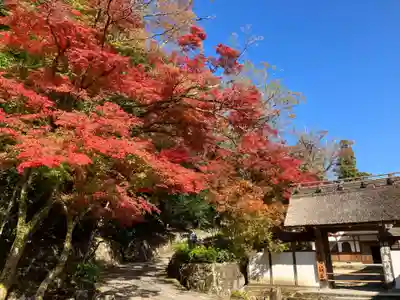 永源寺の山門・神門