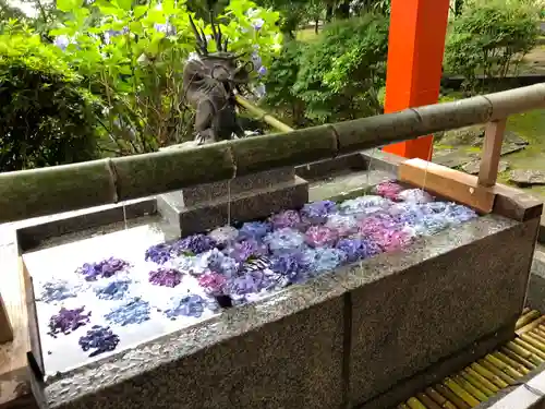 熊野那智大社(和歌山県)