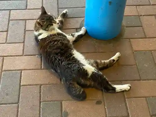 海南神社(神奈川県)